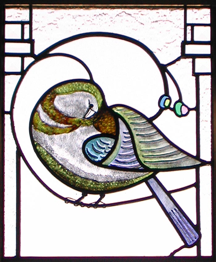 Image of a bird, head back cleaning under its wing